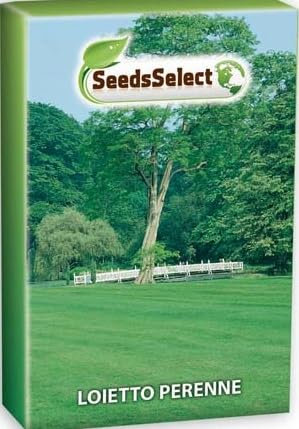 Seme di Loietto Perenne Lotus, Scatola da 1 kg