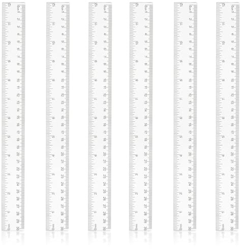 6 Stück Kunststoff Lineal 30 Cm / 12 Inch,Transparentes Lineal,Präzision Lineal mit Metrische&Inch-Skala Ruler, Messwerkzeug für Schule Geprägte Zentimeter Einteilung Zuhause Büro Grundschule