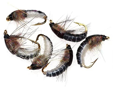GLIMDA Bimoo 6 Stück #12 Realistische Nymphe Scud Fly für Forellenköder, Köder, Insekten, Nymphen, Angeln, F1Q9, künstlich