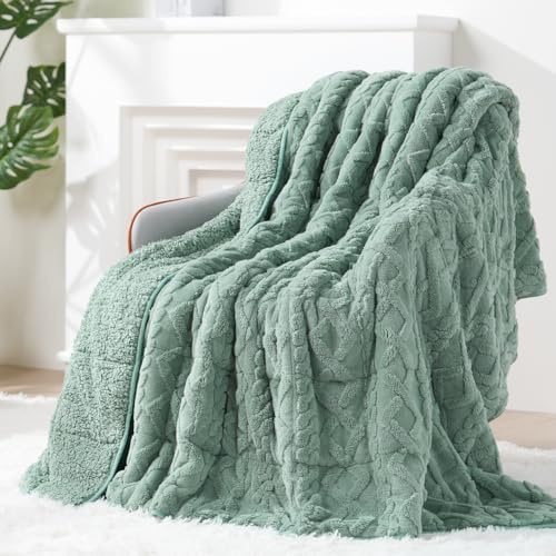 Super Fuzzy Soft Sherpa Fleece Weighted Blanket, 15 lbs Dual Sided Fluffy Heavy Weighted Blankets for Adults - No Bunching with Double Layers of Soft Inner Lining (60x 80, 15 Pounds)