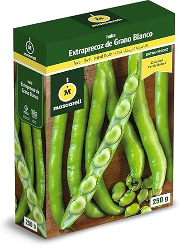 Mascarell Semillas, HABA EXTRA PRECOZ DE GRANO BLANCO, Semillas Leguminosas, Fácil de Cultivar en Casa, 250 G.