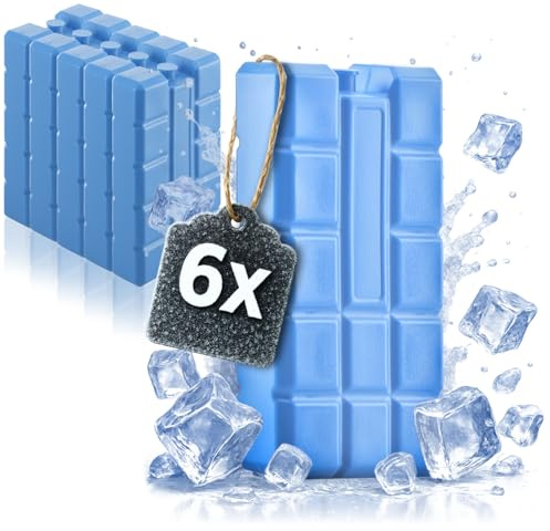com-four® 6x Big Packs de glace - Éléments de refroidissement pour glacière et sac isotherme - Accumulateurs de froid pour la maison et les loisirs