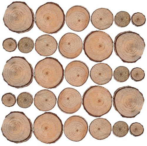 100Pcs Small Wood Round Slices for DIY Craft Projects, Natural Log Discs