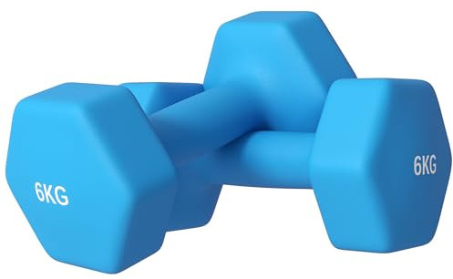 SPORTNOW Set 2 Manubri Esagonali da 2x6 kg in Metallo e Plastica, 2 Manubri Pesi con Impugnatura Antiscivolo, 22x10x10 cm, Azzurro