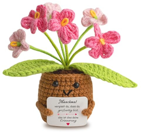 Aruigu Geschenke für Frauen, Handgefertigtes Häkelblume mit Karte, Geschenk & Ermutigungsgeschenke für Mutter Geburtstag Geschenk für Paare, personalisierte Geschenke
