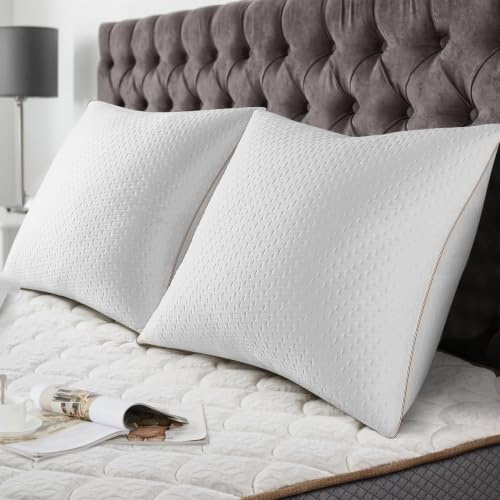 BedStory Oreiller 65x65CM - Lot de 2 - avec Fibres de Bambou - Qualité Luxe