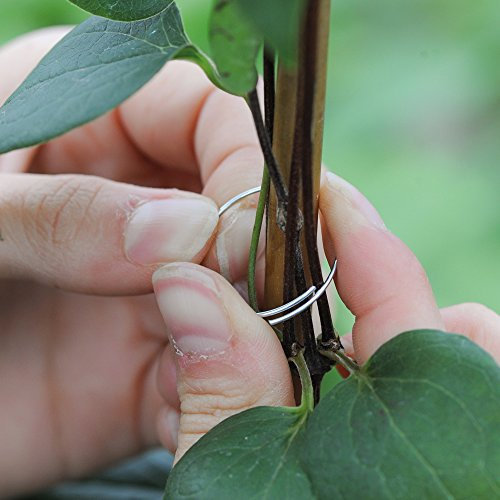 Thompson & Morgan Metal Plant Support Rings Flower Stem Holders for Gardens, Climbing Plants, Fruit & Vegetables 1 x Pack of 50 Support Rings