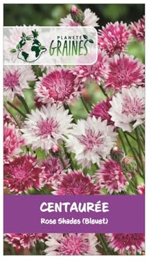 50 GRAINES DE CENTAURÉE DES CHAMPS ROSE SHADES (Centaurea cyanus) - Nuances de Rose Vives - Fleur Sauvage Annuelle, Rustique et Mellifère