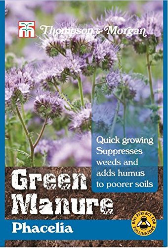 Thompson & Morgan - Green Manure - Green Manure Phacelia - 50 Gram