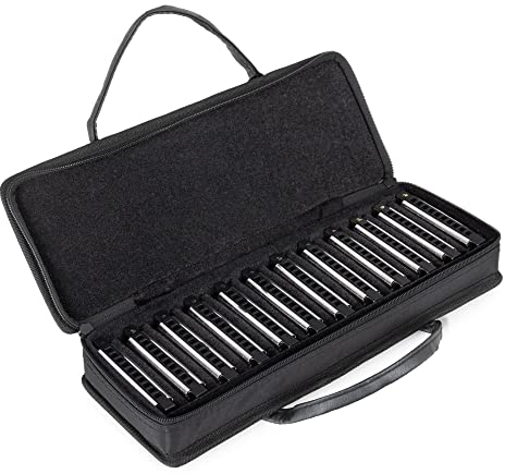 Classic Cantabile AHBS-12 Alabama Blues Harmonica 12er Mundharmonika Set - Diatonische Mundharmonikas in verschiedenen Stimmungen - 10 Messing Stimmzungen - Edelstahl-Gehäuse - Inkl. Etui & Tuch