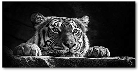 Tulup Impression sur Verre de 120x60 cm Image Tableau Photo décorative panoramique pour la Cuisine et Le Salon - Animaux - Tigre - Noir et Blanc
