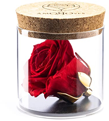 Amoroses Bijou - Ewige stabilisierte Rose mit 24 Karat vergoldetem Kelch im Glasgefäß | Geschenkidee (Rose Rot)