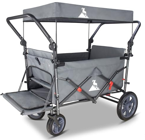 TOPWELL rullvagn vikbar med 2 säten | handvagn vikbar med tak, säkerhetsbälten och broms | transportvagn med hög stabilitet (120 kg lastkraft) (grå)