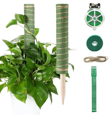 Tutor in schiuma per arrampicate – con legami da giardinaggio inclusi, bastoncini tutor in schiuma per | Adatto per interni ed esterni Pothos Philodendron Vaso fioriera balcone terrazza giardino