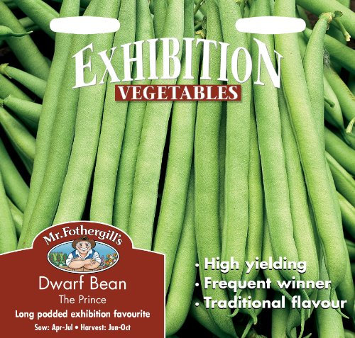 Mr Fothergill's 17885 Vegetable Seeds, Dwarf French Bean The Prince