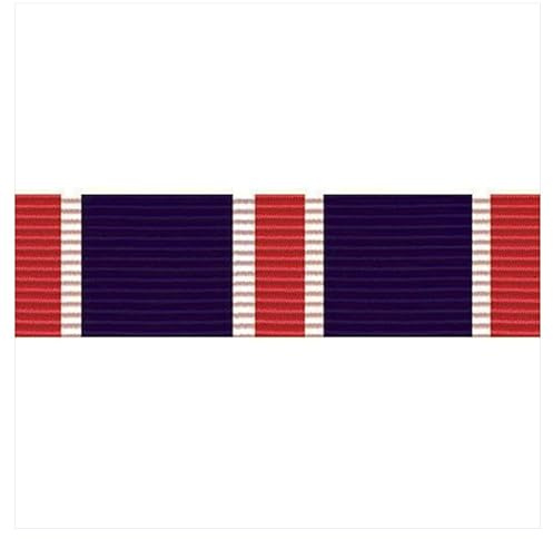 Vanguard AIR FORCE Ribbon Unit: Ausgezeichnete Einheit