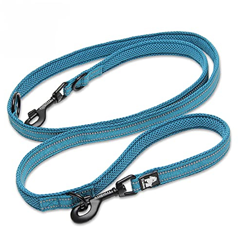 WINHYEPET True Love 7-in-1-Multifunktions-verstellbare Hundeleine, handfrei, Haustier-Trainingsleine, Nylon, reflektierend, bequem, Mehrzweck-Hundeleine TLL2411 (Blau, M) | Truelove Trainingsleine für Haustiere, Nylon, reflektierend, bequem, Mehrzweck-Hundeleine