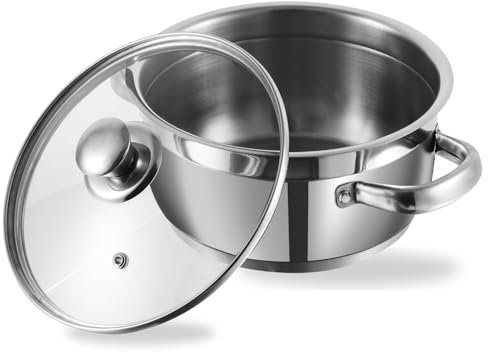 Vinod Two Tone Stainless Steel Sauce Pot/Saucepan with Glass Lid - Steam Vent, Sturdy Handle Induction Bottom (20cm,3 LTR,for 4-5 People)