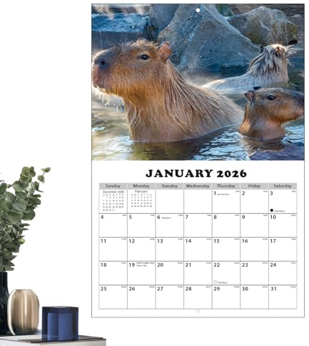 Calendario de Pared 2026-2027,Planificador Temático De Capibara Con Bloques Grandes Rayados | Calendario Mensual De Pared 2026-2027,Para Hogar Escuela Oficinas Aula Sala De Reuniones Estudio