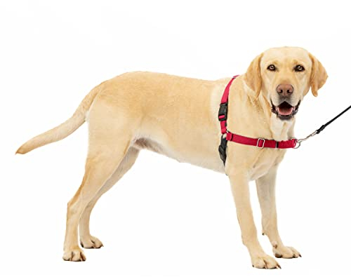 PetSafe Easy Walk-Geschirr, Anti-Zieh-Hundegeschirr, Verringert Würgen und Husten, Mit 1,8 M Leine, Größe L, Rot