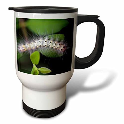 3dRose 14oz Stainless Steel Travel Mug - Macro photo of a fall webworm caterpillar munching on privet leaves. Stamp City - insect macro
