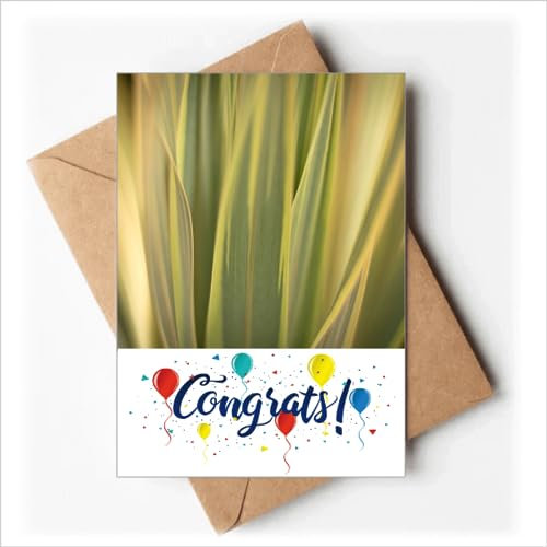 Natur Foto Hochzeitskarten Glückwunsch Grußkarten Umschläge