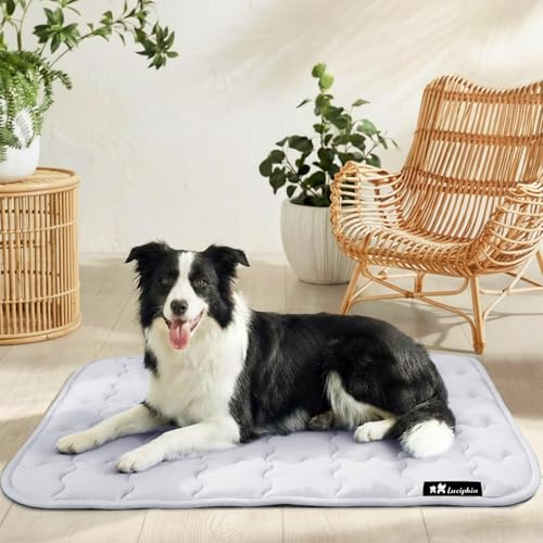 luciphia Tappetino Refrigerante Cane e Gatti,Tappeto per Cani,Cuscino Rinfrescante Estivo,Cuccia Lavabile per Cani,Coperta Rinfrescante per Cani di Taglia Grande,Media e Piccola Grigio 102 * 153cm