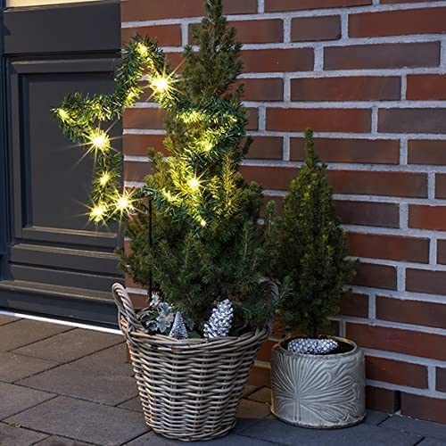 15 LED Weihnachtsstern zum stecken Weihnachtsbeleuchtung Gartenstecker in warmweiß