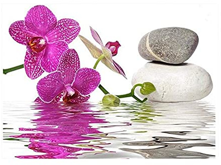 DCIDBEI Diamond Painting Orchideen Orchidee Lila 40x30cm