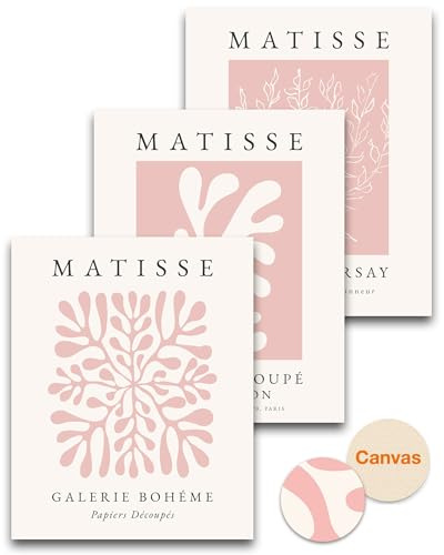 HesenDot Unframed Matisse Pink Wall Art,30x40CM Abstract Canvas Posters Wall Decor,Boho Botanical Prints,Minimalist Aesthetic Home Decoration for Living Room Bedroom Bathroom,Set of 3