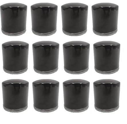 ZFQOOZD Olio 12X per Briggs e Stratton 4153 491056 491056S Accessori per Moto
