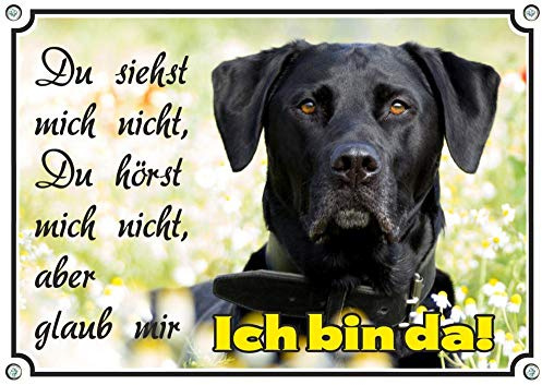 EIN edles Hundeschild mit einem schwarzen Labrador Retriever - TOP Warnschild uv-beständig, DIN A5