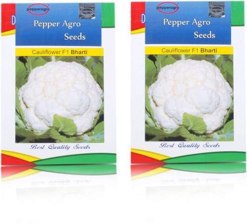 Graines de légumes Cavolfiore di semi