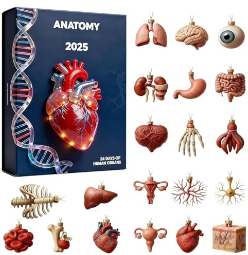 Calendario 'Avvento – Giocattoli di Natale con 24 sorprese – Divertenti miniature di anatomia | Regalo per, infermieri, insegnanti, studenti, compleanno, laurea, laurea