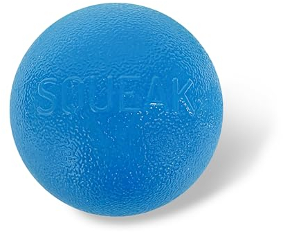 Planet Dog Orbee-Tuff Squeak - Quietsch-Ball für Hunde - Spielzeug zum Apportieren - Blau
