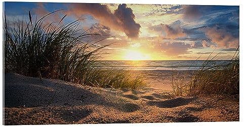 Posterlounge Ostsee-Weststrand Acrylglasbild von Steffen Gierok 80 x 40 cm Wandbilder Wanddeko
