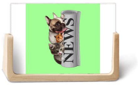 Rollo periódico Pet Group Art Deco Foto de moda Marco de fotos de madera Pantalla de mesa