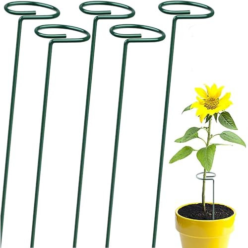 Elixir Gardens Green Plastic Coated Metal Steel Stakes For Single Stem Plant and Flower Support | Lengths Available 45cm, 60cm, 76cm, 90cm | 60cm x 12