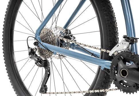 Axess Rogue Mountainbike | MTB-Hardtail | 29 Zoll Herrenfahrrad | 20-Gang Schaltung | Hydraulische Scheibenbremsen