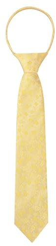 Alizeal Boys Unique Floral Tie and Pre-tied Adjustable Necktie for Kids, D-Yellow