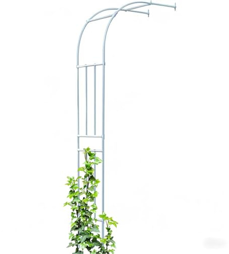 Demi arche de jardin décorative en métal pour roses - Treillis d'extérieur pour plantes grimpantes - Assemblage facile - Fixation murale - Blanc (H x l) : 240 x 60 cm