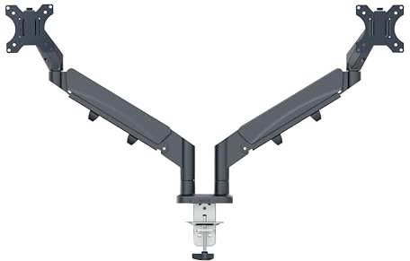 Leitz Ergo platzsparender Doppel-Monitor-Arm, IGR- & TÜV-geprüft, Monitor-Halterung für 2 Monitore bis 32 Zoll & je 9 kg, VESA 75/100, Für korrekte Körperhaltung am Schreibtisch, Grau, 65370089