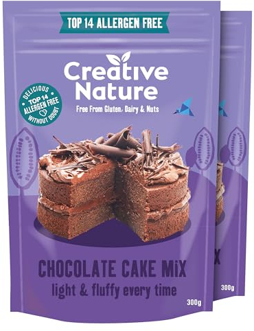 Gluten Free Cake Mix | Creative Nature Vegan Chocolate Cake Mix | Organic, Nut Free, Dairy Free | Top 14 Allergen Free | 2 Pack
