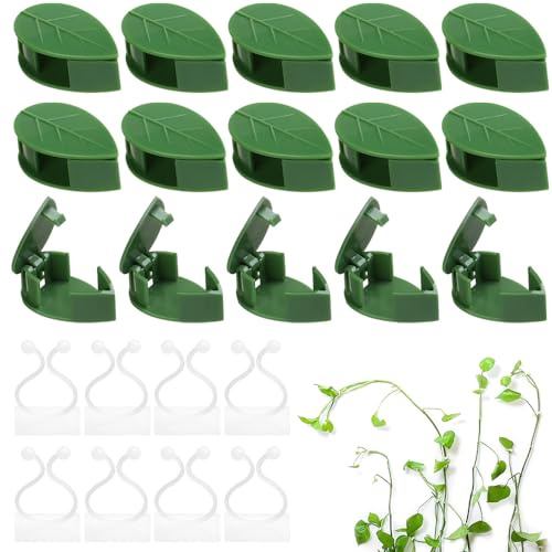 YANGUN 100 Stück Pflanzenclips für Kletterpflanzen, Pflanzenhalter Wand, 50 Weiß Pflanzenhalter, Pflanzenwand Kletterpflanzen Halterung für Kletterpflanzen Plant Climbing Wall Garten