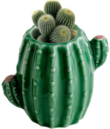 Vaso di per fiori, vaso di in ceramica Vaso decorativo Contenitore per vaso