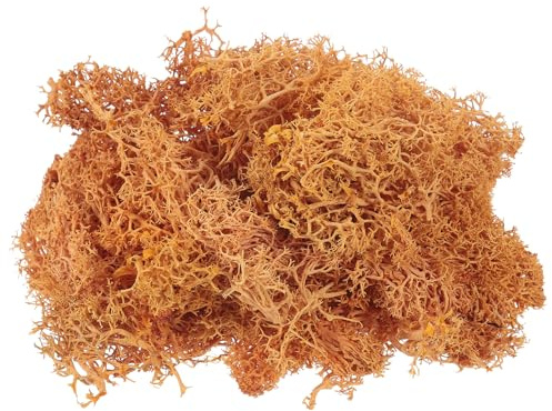 QUARKZMAN Musgo Artificial de 3.5 Oz para Manualidades, Musgo Natural Preservado para Proyectos de Manualidades, Arte Floral, Decoración de Pared, Boda, Jardín (Naranja)