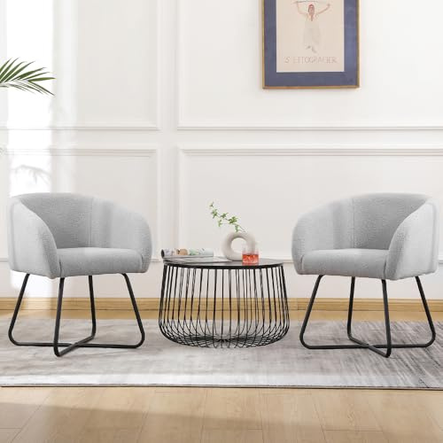 Mingone Sessel Kleine Loungesessel, 2er Set Esszimmerstühle Grau