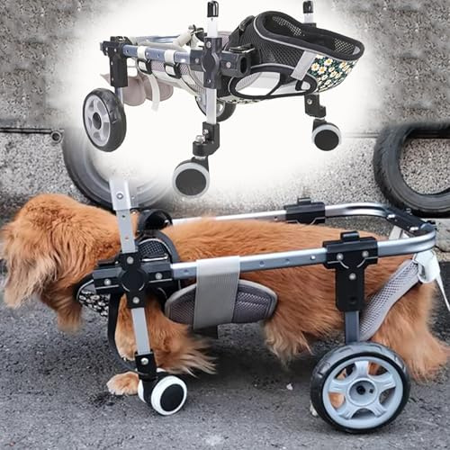 husdjursvagn， Rullstol for förlamningsskador for hundar, liten, medelstor, stor hund, rullstolsvagn for funktionshindrade och rullstolsassisterad rullstol(4 Wheels,L)