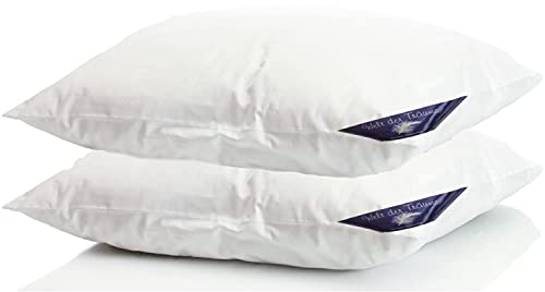 Welt der Träume 2X Daunenkissen | 80x80cm | Füllgewicht: 1380 Gramm | inkl. Kissenbezug aus 100% Baumwolle | Kopfkissen 80x80 Daunen | Federkissen | kein Lebendrupf | weiß | 2 Stück