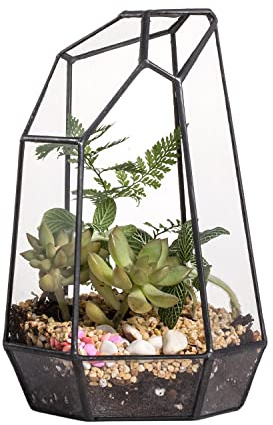 NCYP 10x12,5x19 cm Glas Geometrisches Terrarium Keine Tür, unregelmäßiges Prisma, für Mini-Sukkulenten, Kleine Kakteen, Pflanzen (ohne Pflanzen)